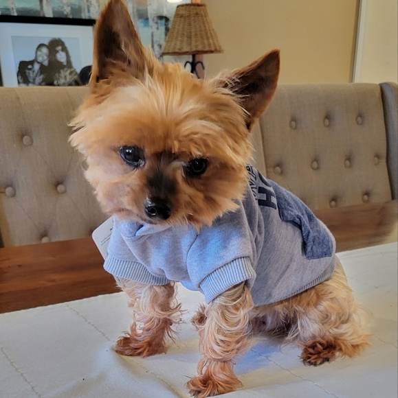 ❤️Host Pick!❤️  Fleece Lined Dog Hoodie XS - Picture 5 of 15